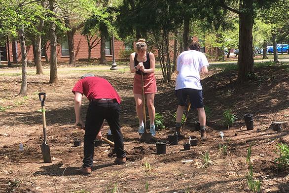 St-Johns-Annapolis-rain-garden.jpg